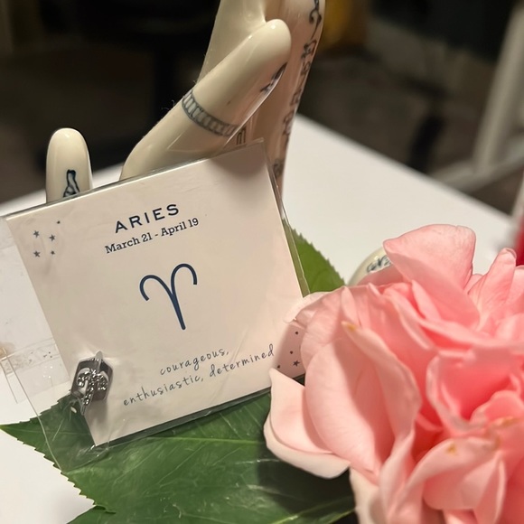 KEEP Collective Jewelry - Keep Collective Aries ♈️ Collectors Edition